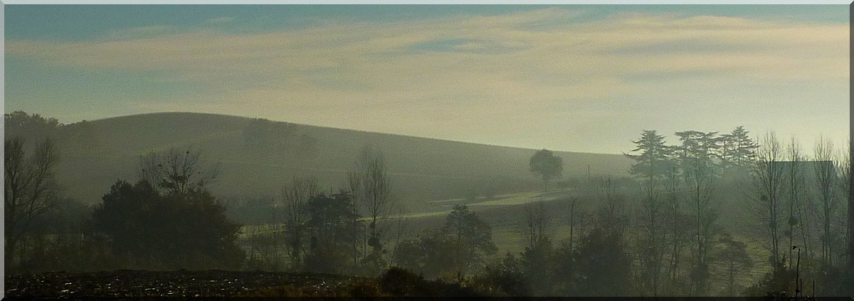 brume matin dec2013